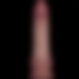 Фалоімітатор - Sliding Skin Pro II Dual Layer Silicone Dong 8" Flesh Фалоімітатор - Sliding Skin Pro II Dual Layer Silicone Dong 8" Flesh