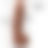 Фалоімітатор Doc Johnson The Realistic Cock ULTRASKYN - 12 Inch Hung with Balls Caramel