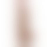 Фалоімітатор - Sliding-Skin Dual Layer Dong 12" Brown