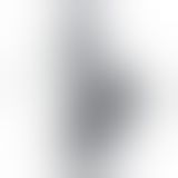 Фалоімітатор - Squirt Extreme Dildo 11" Black