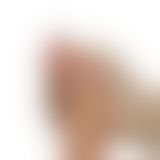 Фалоімітатор з мошонкою - 8'' Dual - layered Silicone Dildo