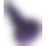 Beasty Cocks Octopus Prime Beasty Cocks Octopus Prime