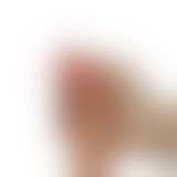 Фаллоимитатор - 7" Dual-Layered Silicone Cock Flesh
