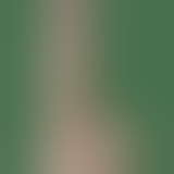 Фалоімітатор Realistic Cock, 16X4,5 см