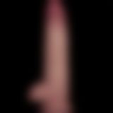 Фалоімітатор - Sliding Skin Pro II Dual Layer Silicone Dong 8.5" Flesh Фалоімітатор - Sliding Skin Pro II Dual Layer Silicone Dong 8.5" Flesh