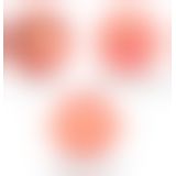 PED Brook Le Hook Life-Size Lo