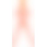 P Becky The Beginner