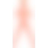 P Becky The Beginner