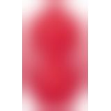 2718820 Cottelli Collection Dress Red