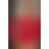 Еротична мереживна сукня ANS Alecto