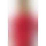 Еротична мереживна сукня ANS Alecto