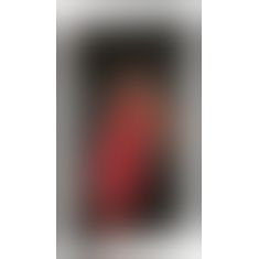 2719070 Noir Dress - red