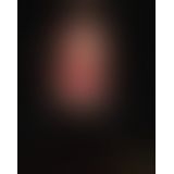 Новогодний эротический костюм "Секси Санта" L, юбка, топ Новогодний эротический костюм "Секси Санта" L, юбка, топ