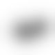 Пестіс - стикини Bijoux Indiscrets Burlesque pasties FEATHER, з пір'ям