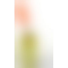 Вилли в горчице