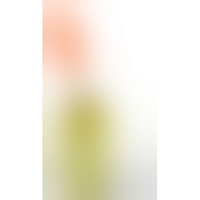 Вилли в горчице