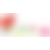 Шпаги еротичні, 24 шт.