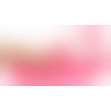 Тапочки - House Slipper Boobs Pink