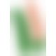 Огірок - Cucumber