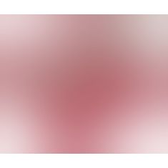 Тапочки - House Slippers Penis Pink