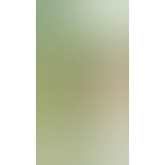 Огірок - Cucumber