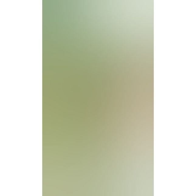 Огірок - Cucumber
