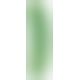 Огірок - Cucumber