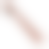 Зубна щітка Toothbrush Penis, 18 см