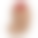 Сільничка та перечниця у вигляді пеніса Salt & Pepper Shaker, 2 шт.