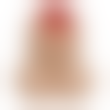 Сільничка та перечниця у вигляді пеніса Salt & Pepper Shaker, 2 шт.