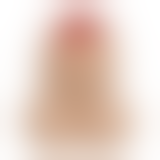 Сільничка та перечниця у вигляді пеніса Salt & Pepper Shaker, 2 шт.