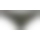Чоловічі стрінги - 2120267 Men's Briefs - moro