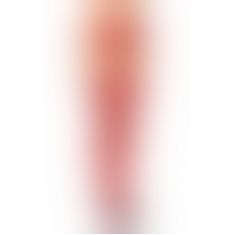 Панчохи - Stockings 5511, red