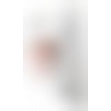 Бодистокинг с крыльями Passion BS098 One Size, white, средняя сетка, открытый доступ