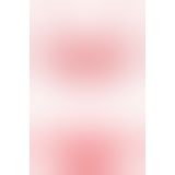 Еротичний комплект з рюшами Obsessive 827 - SET - 3