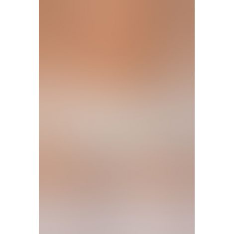 Пояс з підв'язками Ava Monica 1456