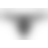 Стринги Obsessive Wonderia (L/XL, черный)