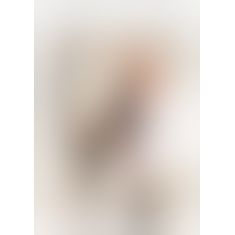 2520567 Hold - up Stockings Zip