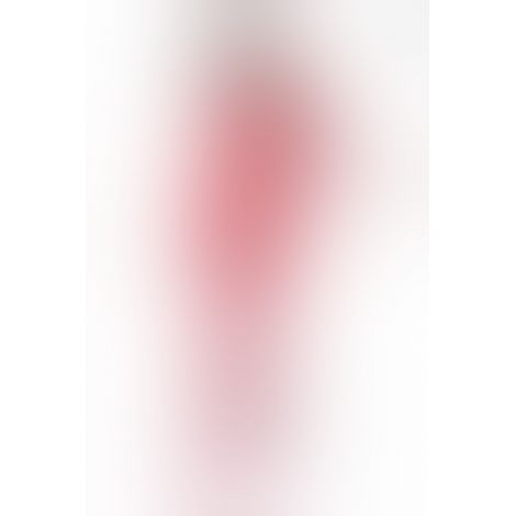 Бодістокінг з великою сіткою Passion BS077 red