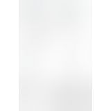 Корсет під шкіру ASUNA CORSET black XXL/XXXL Passion