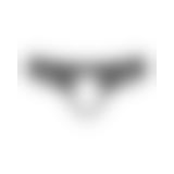 Obsessive Contica crothchles thong S/M