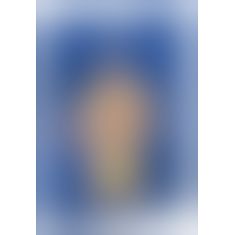Чоловіче боді - 2150387 Mankini - yellow, S/L