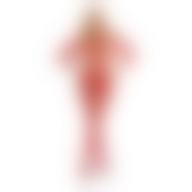 Бодістокінг - Pink Lipstick Lingerie Risque Crotchless Bodystocking Red, S/M