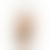 Бодістокінг у велику сітку Penthouse - Body Search Black XL