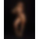 Боді Obsessive Soranna long-sleeved teddy S/M