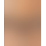 Шортики Ewa Bien Driada C410