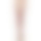 Leg Avenue Sheer Lace Top Thigh Highs - чулочки с кружевом и бантиком (черный)