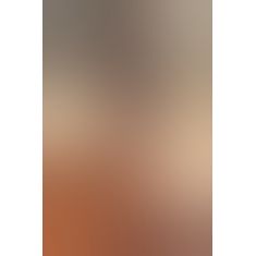 Чулки с поясом Anne De Ales TOSCA T4 Black, средняя сеточка, сзади стрелки, кружевной пояс