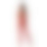 Бодистокинг с плетением на животике Passion BS100 One Size, red, декоративный шов, с доступом