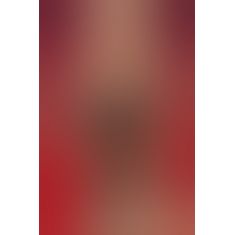 Еротичне боді Obsessive 823 - TED - 1